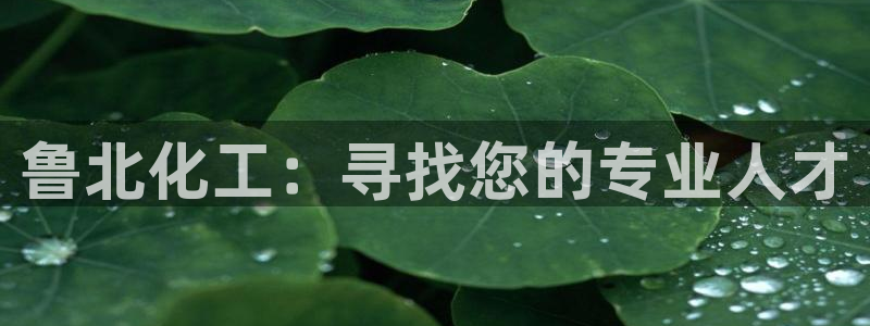球盟会qmh登录地址：鲁北化工：寻找您的专业人才