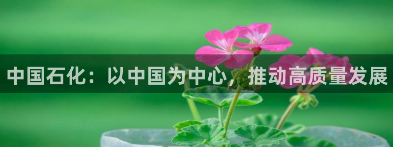 球盟会综合体育平台：中国石化：以中国为中心，推动高质量发展