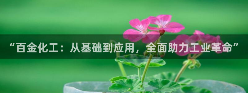 球盟会头号玩家是谁：“百金化工：从基础到应用，全面助力工业革
