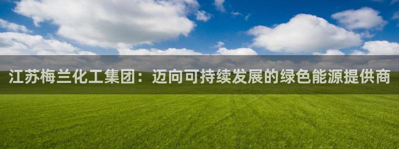 球盟会黑网：江苏梅兰化工集团：迈向可持续发展的绿色能源提供商