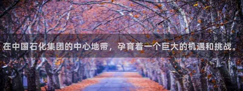 球盟会能退钱吗：在中国石化集团的中心地带，孕育着一个巨大的机