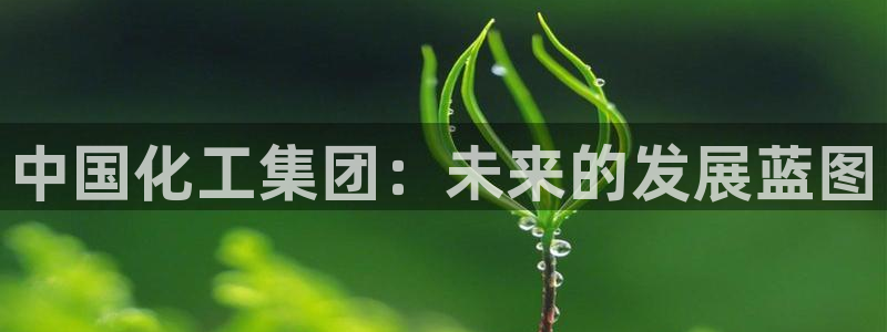 球盟会封禁：中国化工集团：未来的发展蓝图