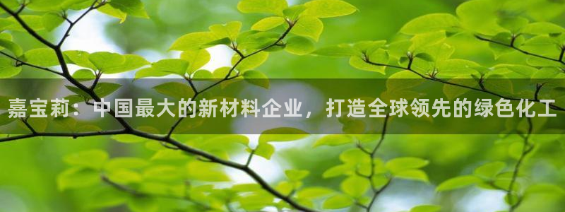 球盟会qmh网址：嘉宝莉：中国最大的新材料企业，打造全球领先
