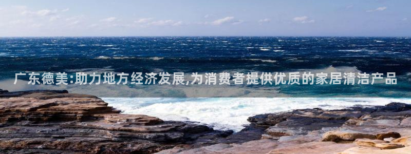 球盟会论坛：广东德美:助力地方经济发展,为消费者提供优质的家