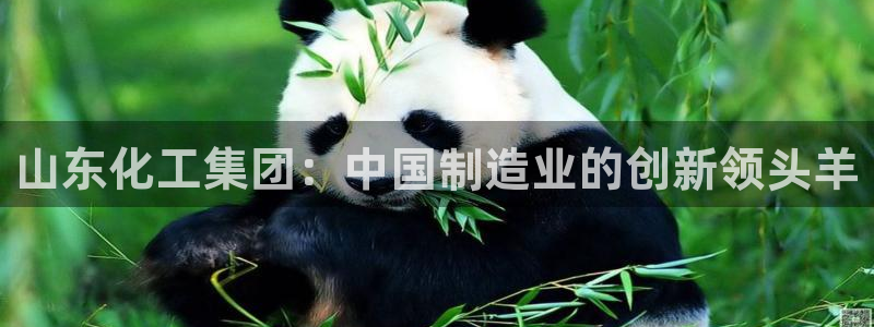 球盟会官方登录平台入口：山东化工集团：中国制造业的创新领头羊