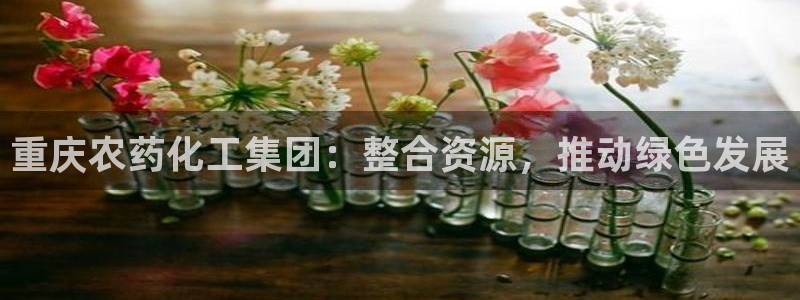 球盟会官方入口：重庆农药化工集团：整合资源，推动绿色发展