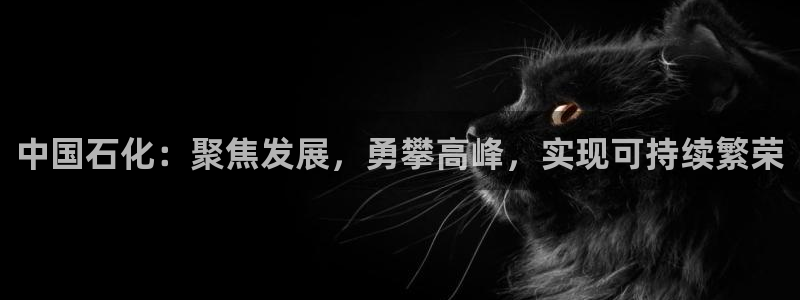 球盟会官方网站入口