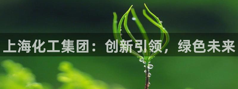 球盟会乐虎：上海化工集团：创新引领，绿色未来