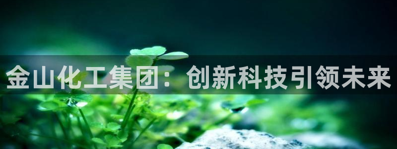 球盟会app手机登录：金山化工集团：创新科技引领未来