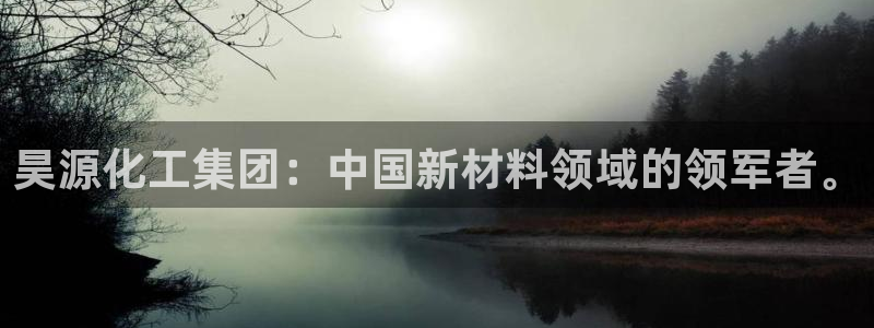 球盟会最新地址备用：昊源化工集团：中国新材料领域的领军者。