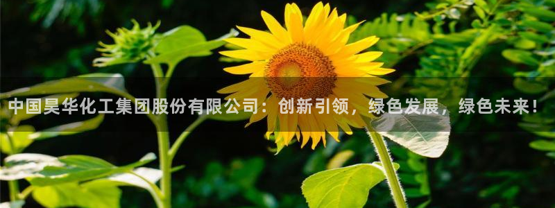 球盟会有没有黑单的活动