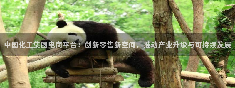 球盟会黑款吗知乎