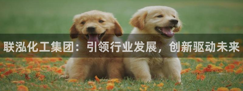 球盟会官方网站是什么