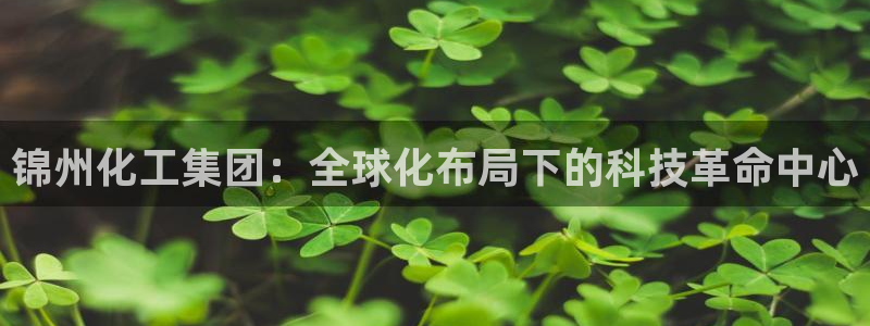 球盟会最新：锦州化工集团：全球化布局下的科技革命中心