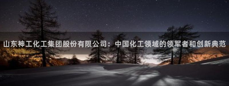 球盟会中国官方网站：山东神工化工集团股份有限公司：中国化工领