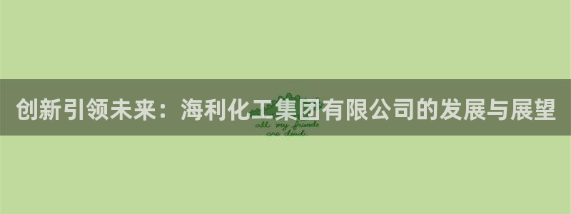 球盟会可以提现么是真的吗：创新引领未来：海利化工集团有限公司