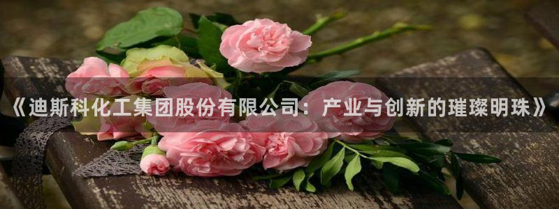 球盟会电子游戏平台：《迪斯科化工集团股份