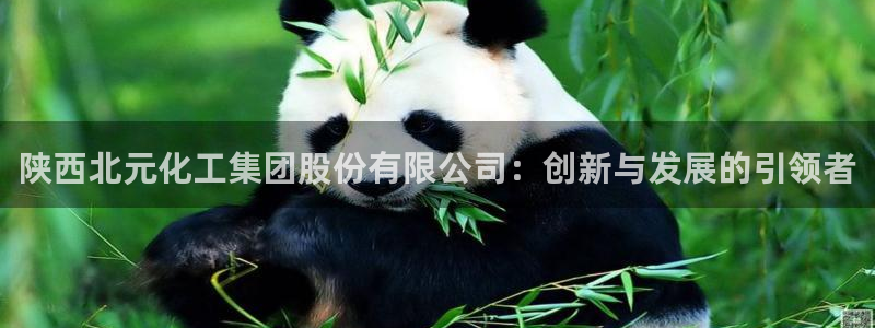 球盟会官网入口：陕西北元化工集团股份有限