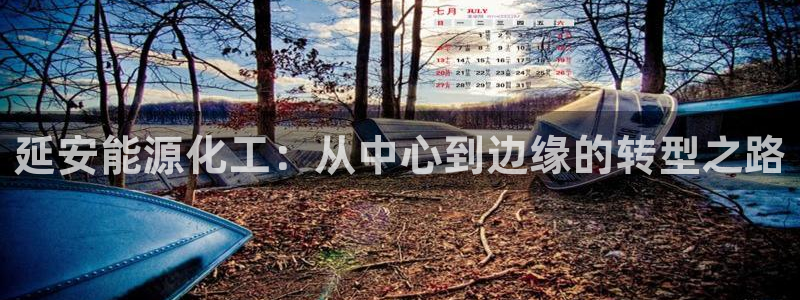 球盟会官方app首页入口：延安能源化工：从中心到边缘的转型之
