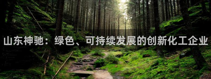 球盟会最新活动：山东神驰：绿色、可持续发展的创新化工企业