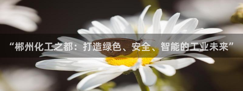 球盟会唯一：“郴州化工之都：打造绿色、安全、智能的工业未来”
