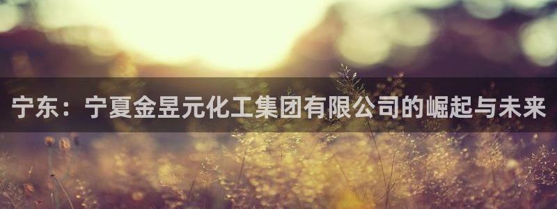 球盟会网页登录：宁东：宁夏金昱元化工集团有限公司的崛起与未来