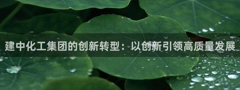 球盟会吧：建中化工集团的创新转型：以创新引领高质量发展
