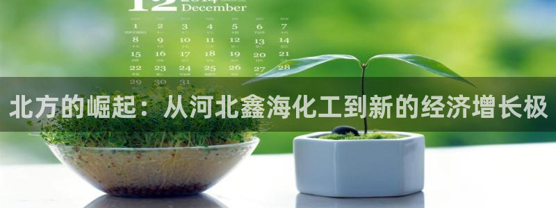 球盟会唯一：北方的崛起：从河北鑫海化工到新的经济增长极