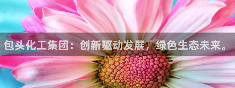 球盟会中国网页登录：包头化工集团：创新驱动发展，绿色生态未来