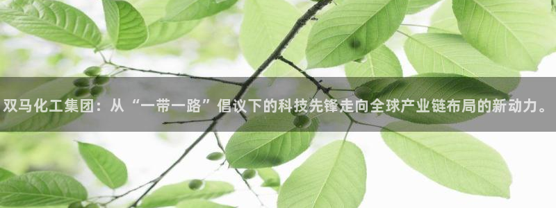 球盟会黑嘛：双马化工集团：从“一带一路”倡议下的科技先锋走向