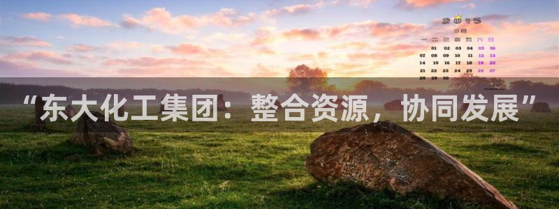 球盟会qmh官网：“东大化工集团：整合资源，协同发展”