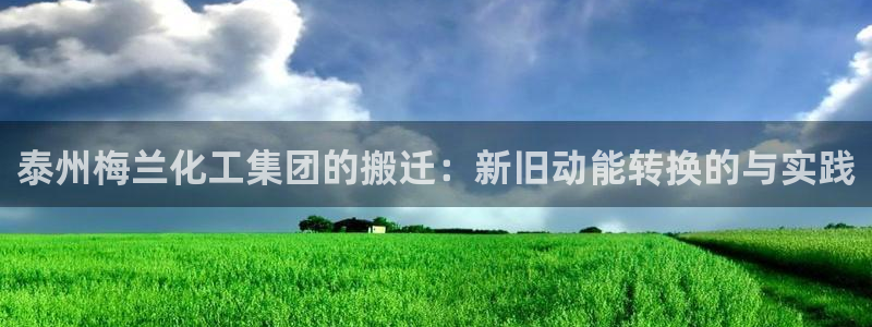 球盟会和中欧：泰州梅兰化工集团的搬迁：新旧动能转换的与实践