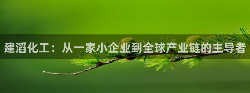 千亿球盟会乐玩：建滔化工：从一家小企业到全球产业链的主导者