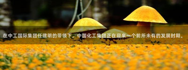 球盟会app最新地址在哪找：在中工国际集团任建明的带领下，中