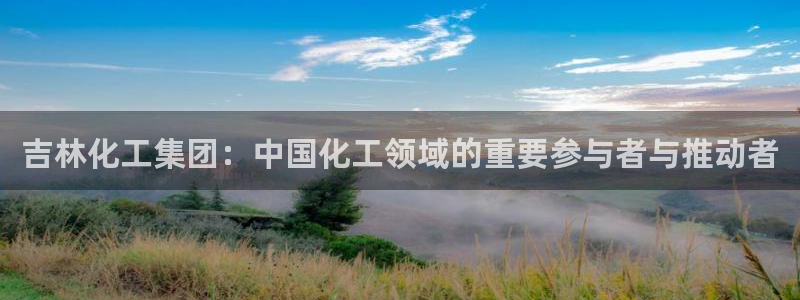 球盟会网页版：吉林化工集团：中国化工领域的重要参与者与推动者