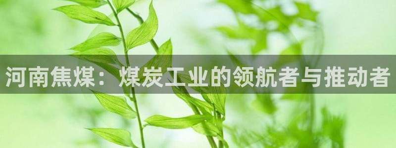 球盟会官方网站入口：河南焦煤：煤炭工业的领航者与推动者