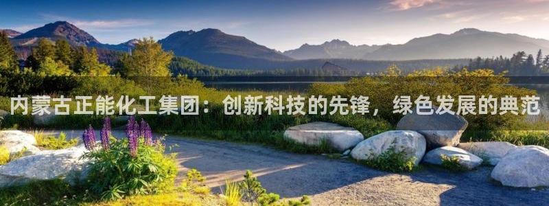 球盟会电子游戏平台：内蒙古正能化工集团：创新科技的先锋，绿色