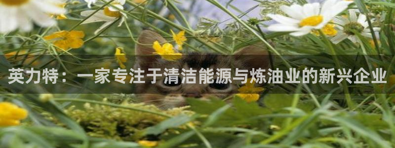 球盟会app网址多少号：英力特：一家专注于清洁能源与炼油业的