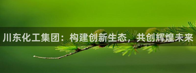 球盟会有限公司怎么样：川东化工集团：构建创新生态，共创辉煌未