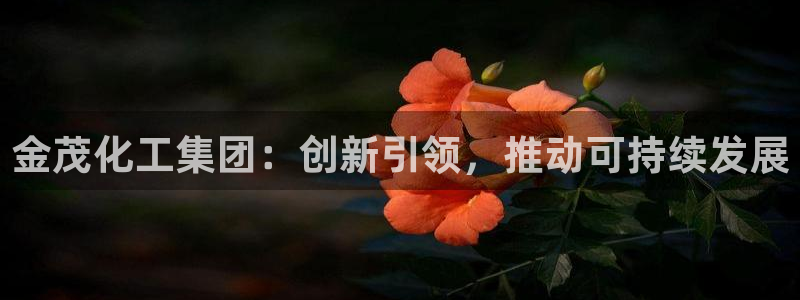 球盟会app最新地址在哪里：金茂化工集团：创新引领，推动可持