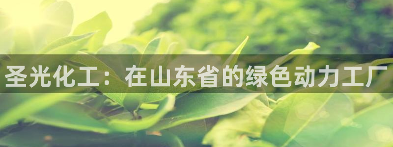 球盟会最新地址备用：圣光化工：在山东省的
