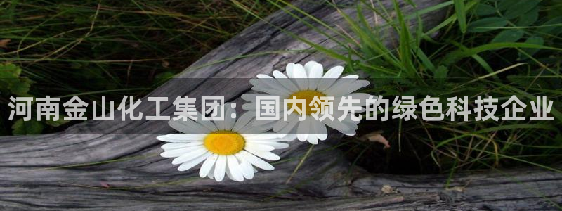 球盟会几点玩合适：河南金山化工集团：国内