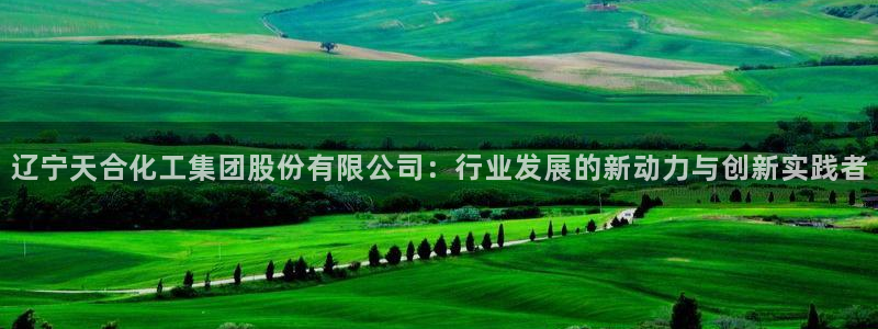 球盟会官网网页版：辽宁天合化工集团股份有限公司：行业发展的新