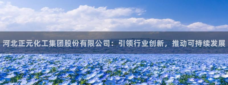 球盟会黑款吗知乎小说：河北正元化工集团股份有限公司：引领行业