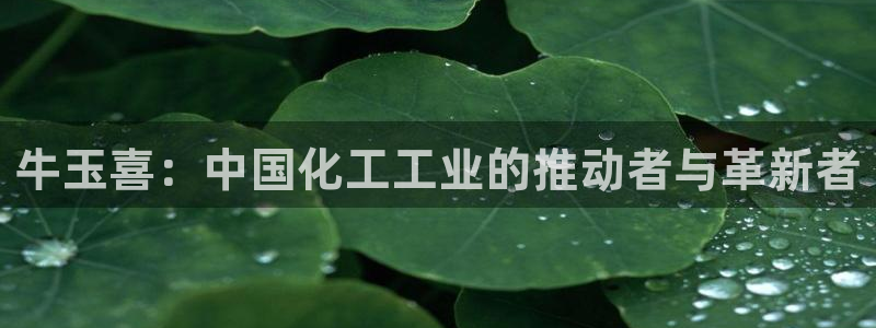 球盟会电子好下吗：牛玉喜：中国化工工业的推动者与革新者