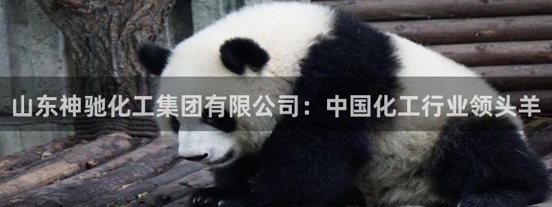 球盟会优惠券：山东神驰化工集团有限公司：中国化工行业领头羊