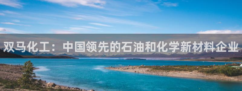 球盟会登陆中心：双马化工：中国领先的石油和化学新材料企业