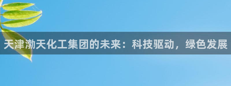 球盟会可以提现么：天津渤天化工集团的未来：科技驱动，绿色发展