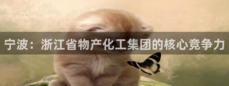 球盟会最新地址备用：宁波：浙江省物产化工集团的核心竞争力