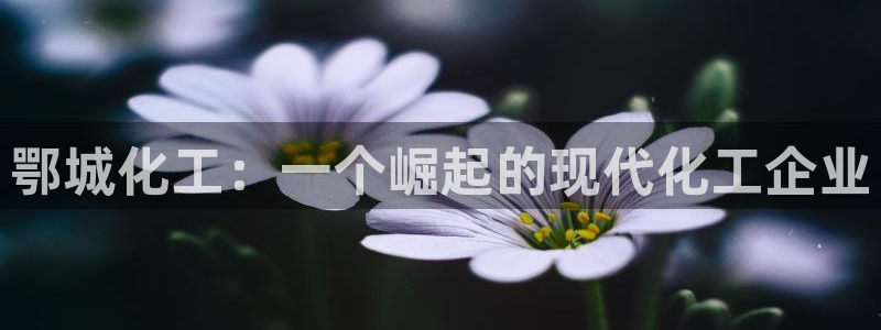 球盟会黑台：鄂城化工：一个崛起的现代化工企业